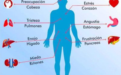 **Titlu: Legătura dintre emoții și suferința fizică: 18 dureri corporale provocate de stări emoționale**